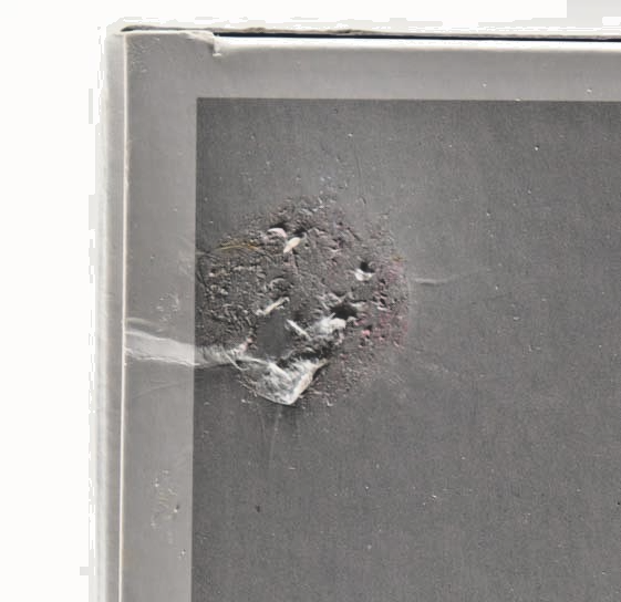 Avril Lavigne Signed "Avril" #390 Funko Pop! Vinyl Figure (ACOA)